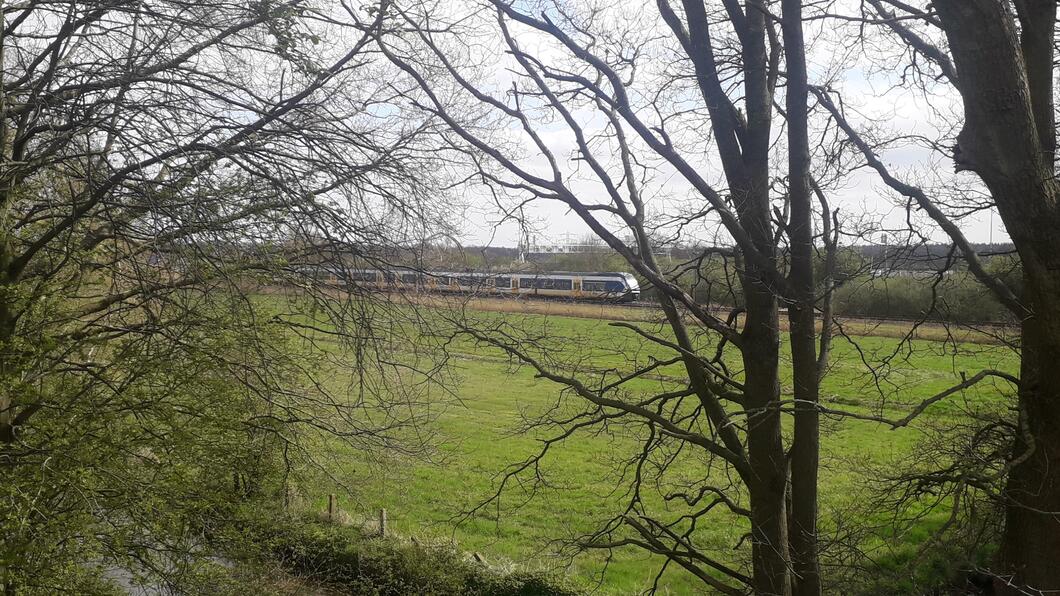 Terrein zonneweide Maartensdijk