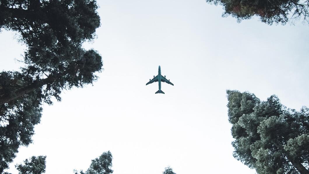 Vliegtuig boven bomen