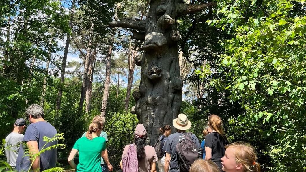 Boswachter wandeling Leijense Bos