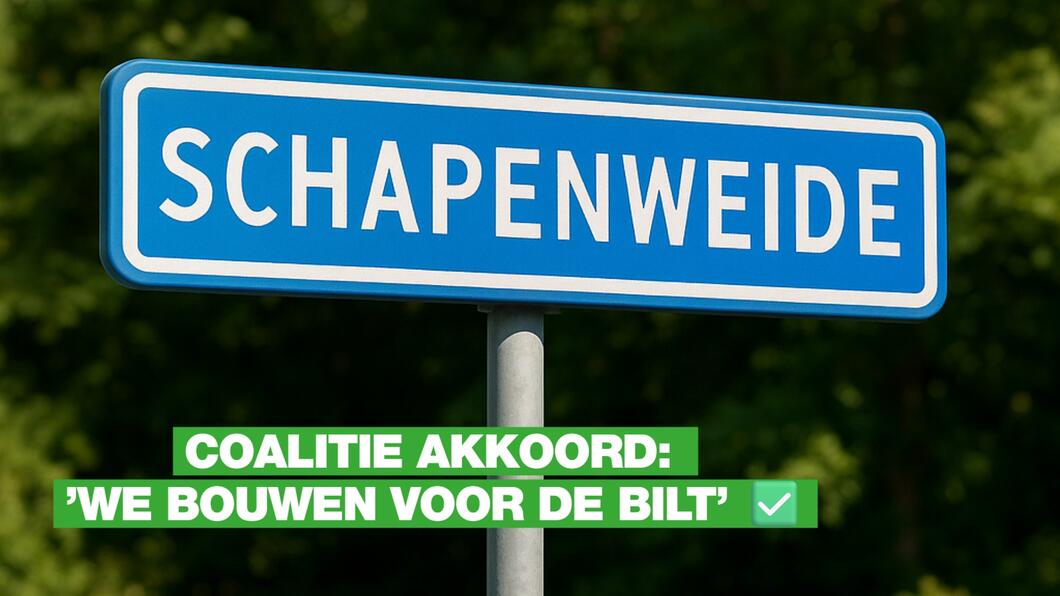 bord schapenweide