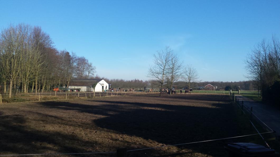 Paardenhouderij Groenekan.jpg