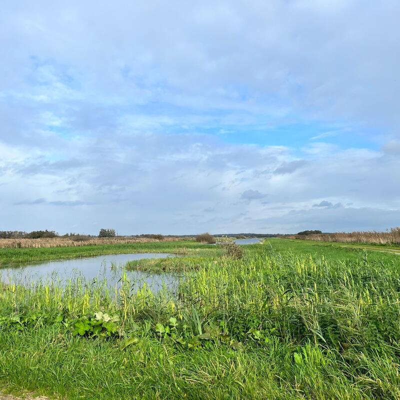 Westbroek wandeling 3