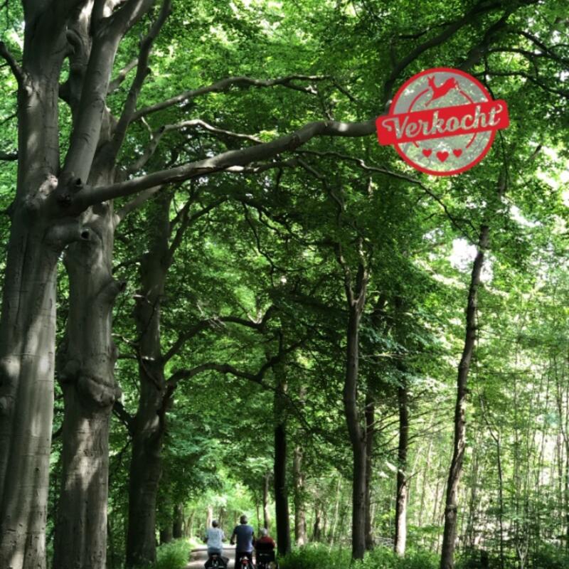 leijense bos verkocht 2