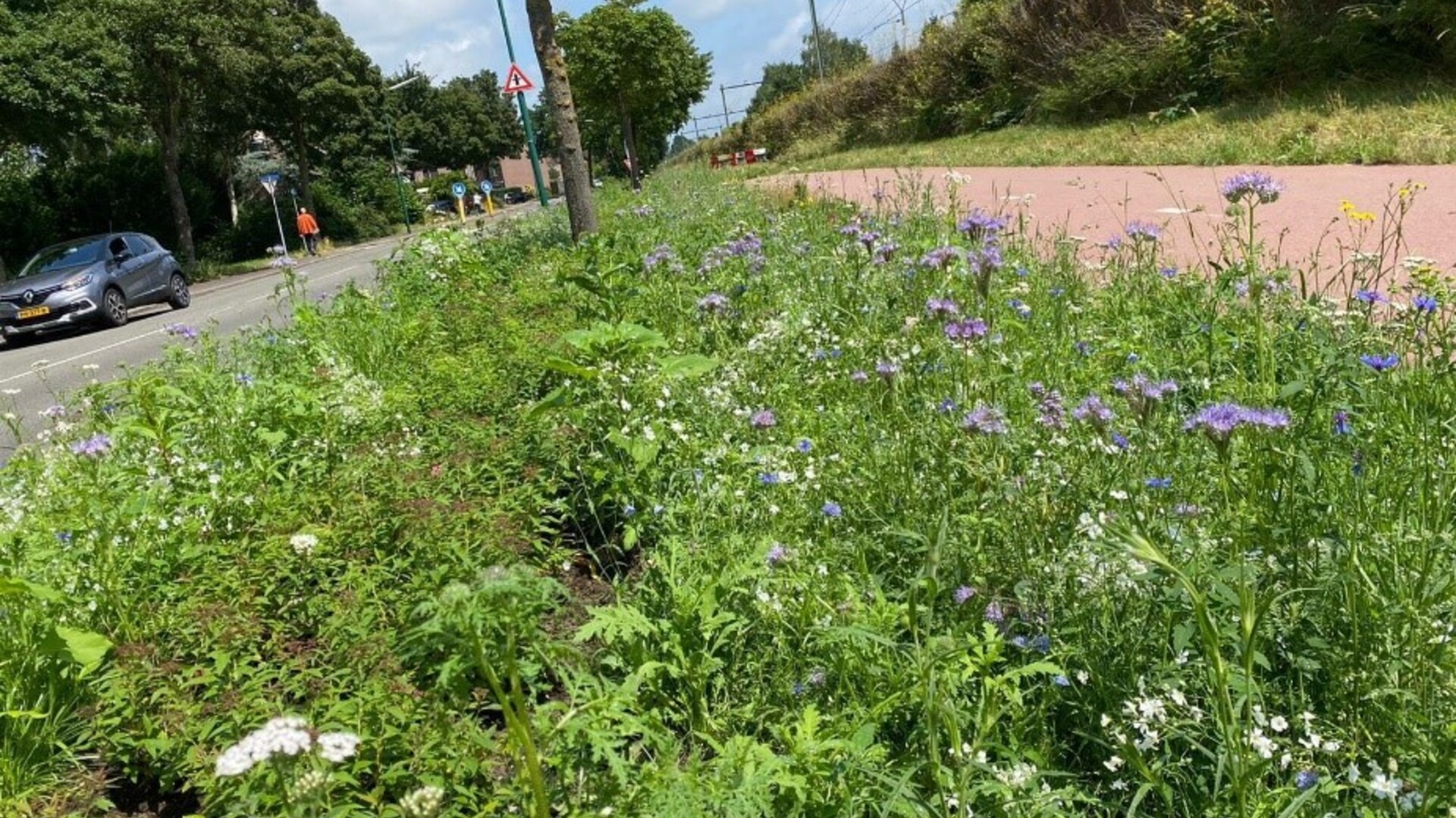 Berm de Leijen