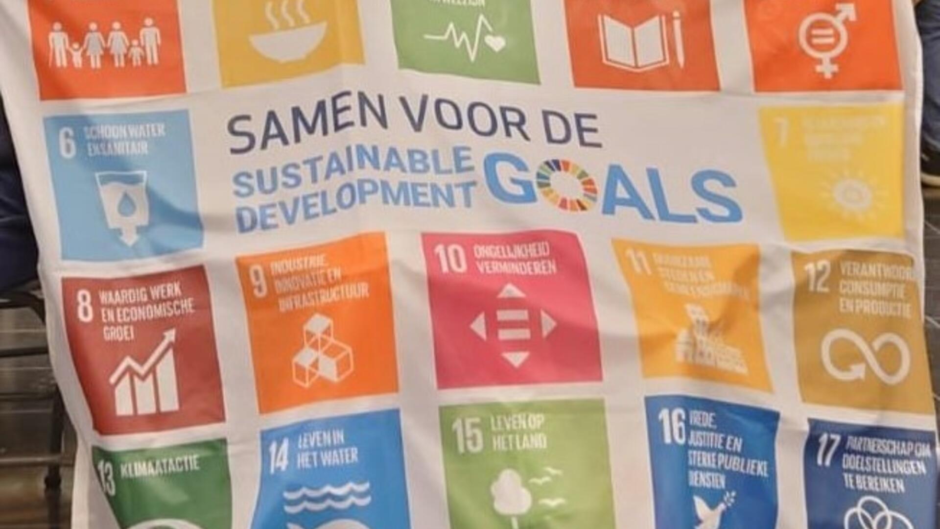 Vlag global goals