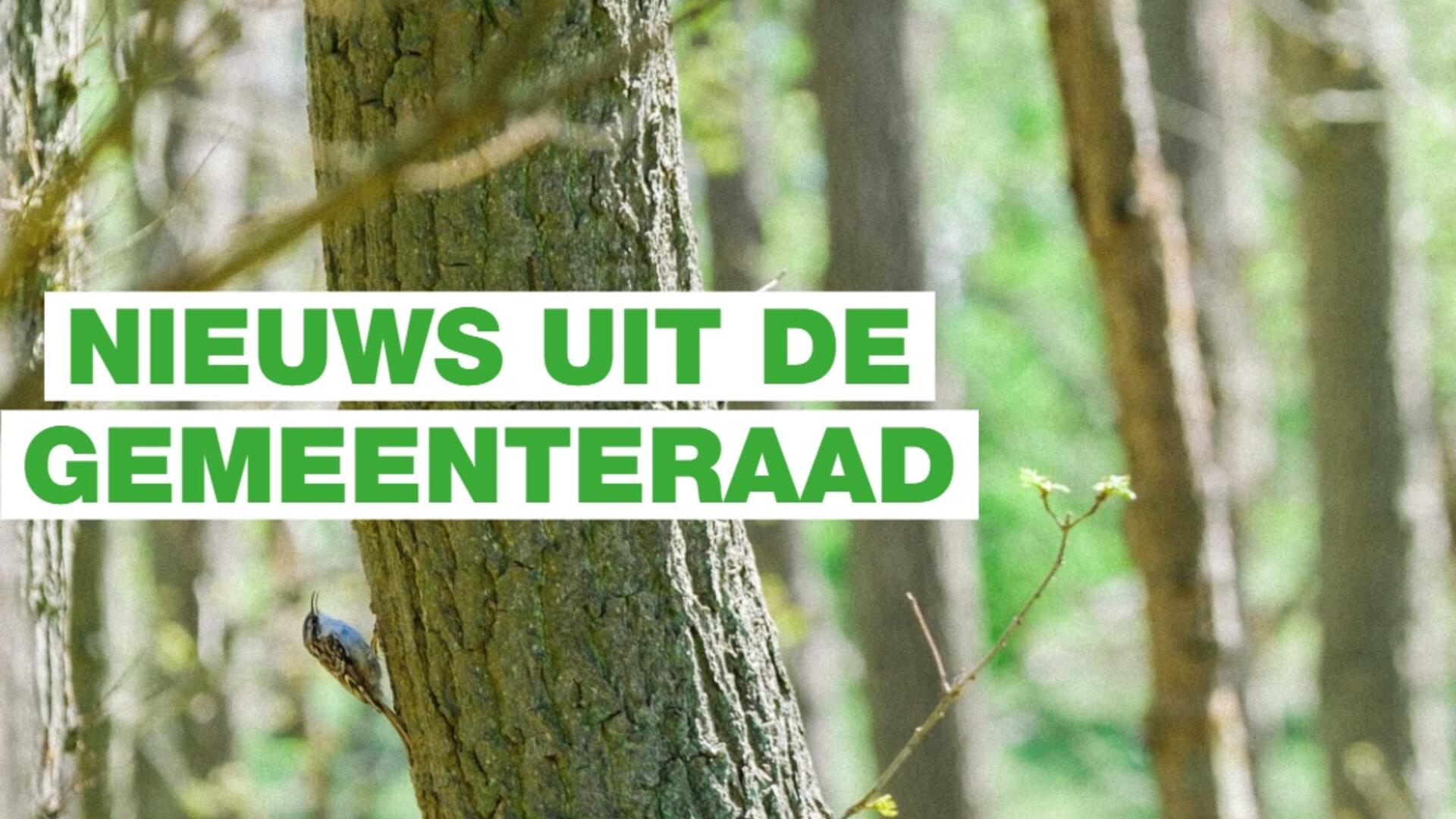 boom nieuws