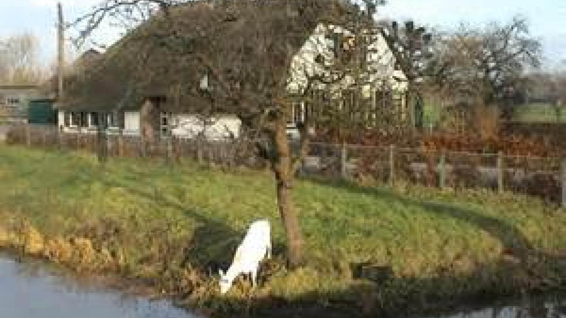 groenekan_04.jpg