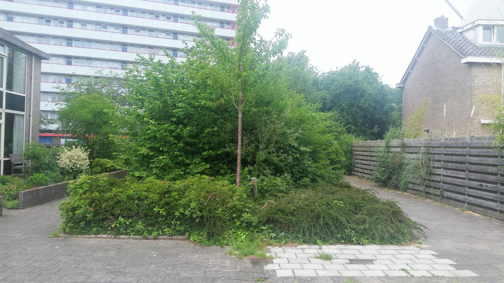 Bielalaan.jpg